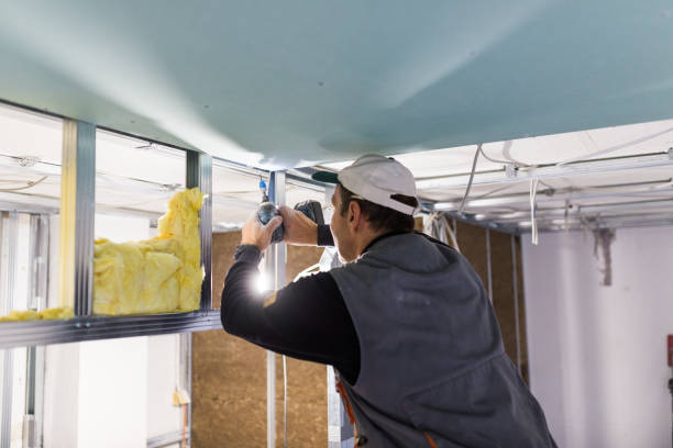 Best DIY Insulation Kits and Guidance in Cedar Hill, MO