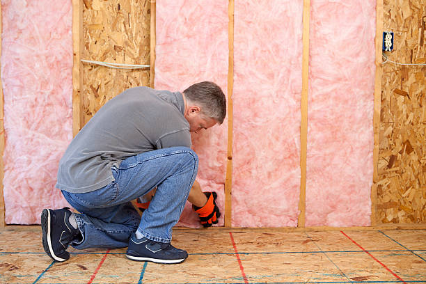 Best Spray Foam Insulation in Cedar Hill, MO